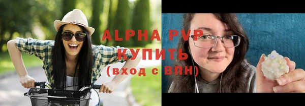 индика Михайловск